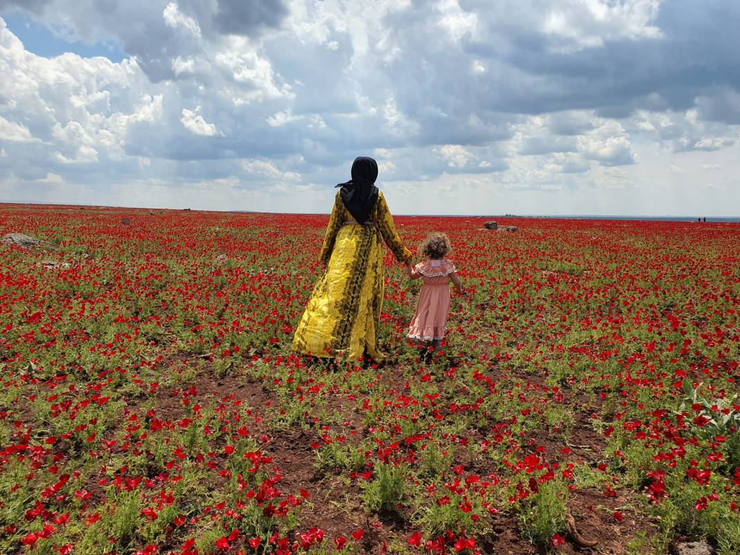 Karacadağ çiçek açtı, turistler akın ediyor 4