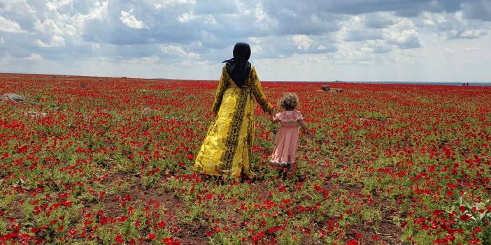 Karacadağ çiçek açtı, turistler akın ediyor