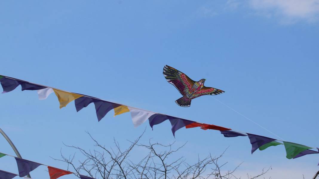 Diyarbakır’da 8 Mart coşkuyla kutlandı 3