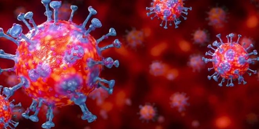 Virüsle mücadelede 'Bana ne demeyin' çağrısı