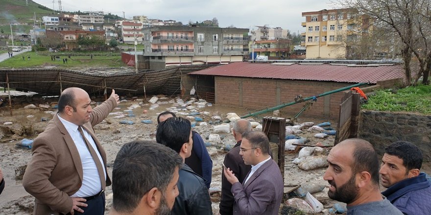 Sağanak yağışta onlarca büyükbaş hayvan telef oldu