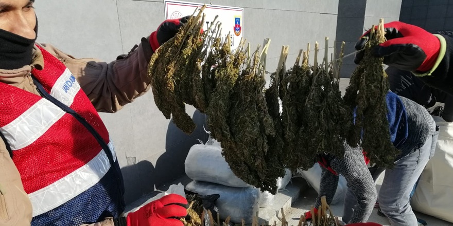 Diyarbakır’da 305 kilogram esrar ele geçirildi
