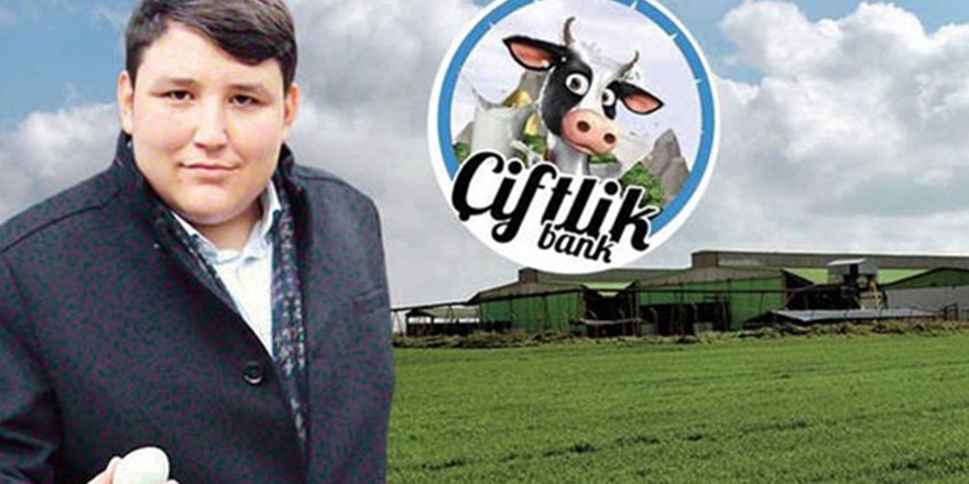 Mehmet Aydın’ın ilk ifadesi ortaya çıktı