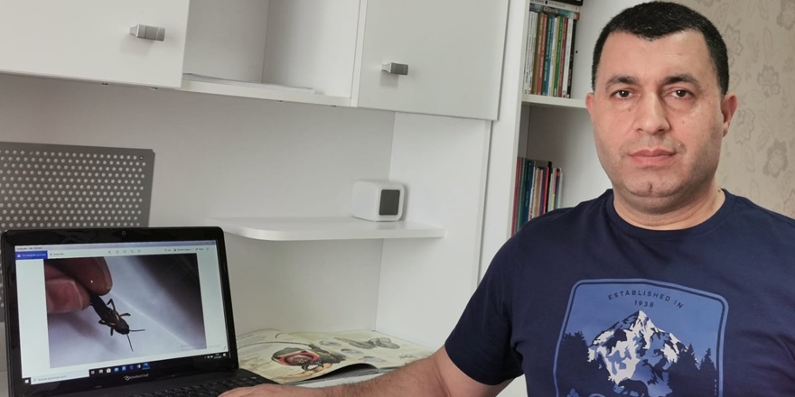 'Çekirge istilası mücadelesinde daha çok ördek ve tavuk kullanılmalı'