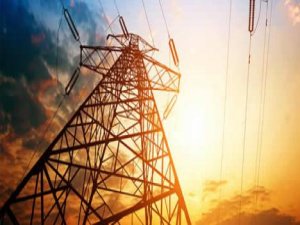 21 dağıtım şirketine ilk denetim