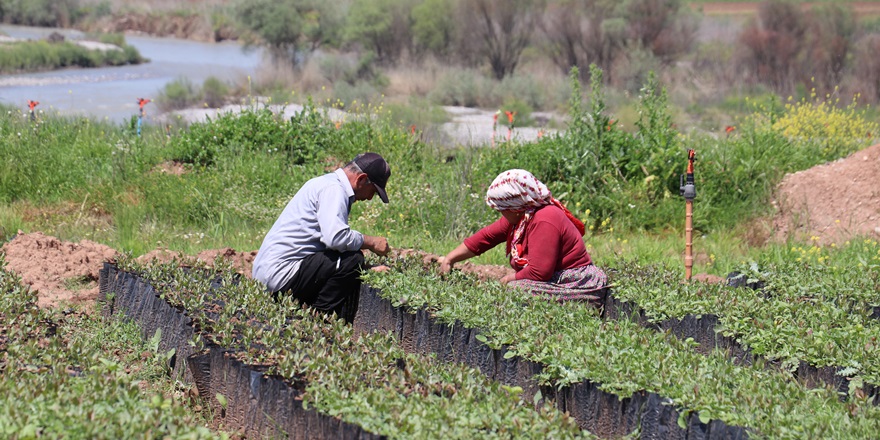 İşçiler 1 Mayıs'ta da iş başında