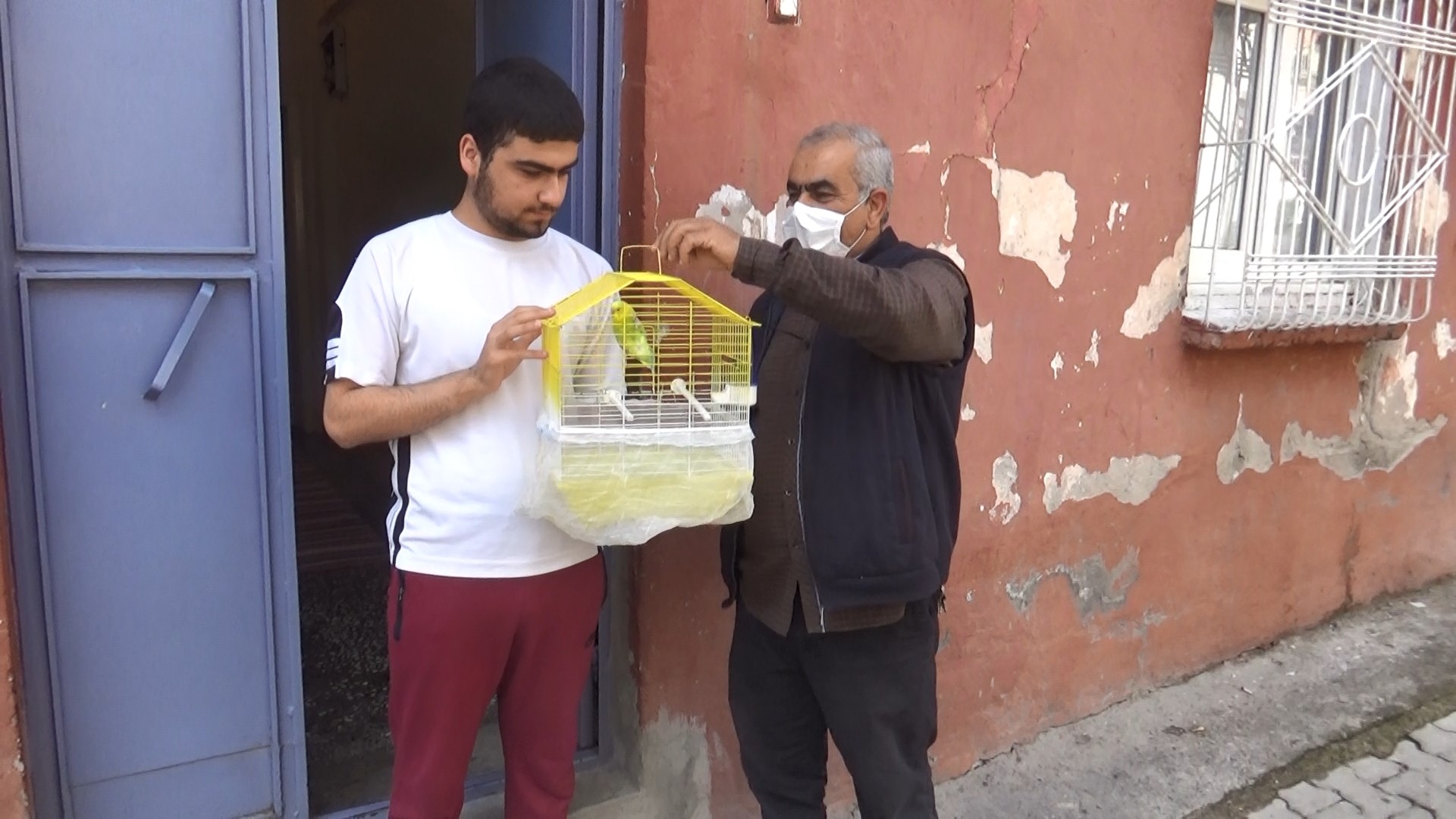 -VİDEO - Muhabbet kuşundan vatandaşlara 'evde kal Türkiye' çağrısı