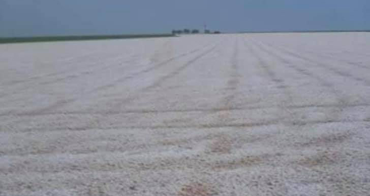 Diyarbakır’da dolu ekili alanlarda zarara yol açtı