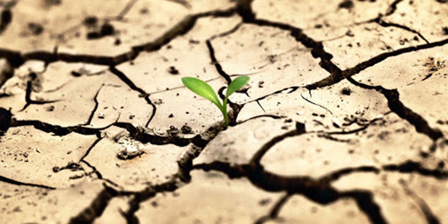 Sıcaklıklar 50 yıl sonra 'yaşanamayacak seviyede' olabilir