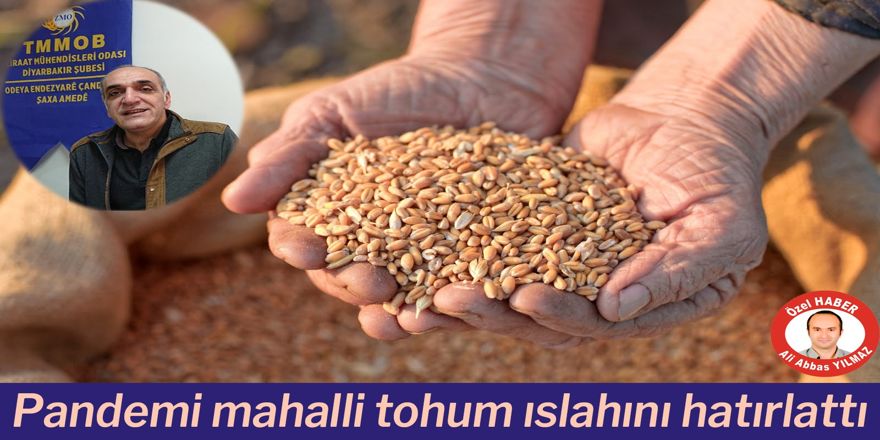 VİDEO - Pandemi mahalli tohum ıslahını hatırlattı