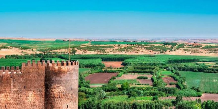 ‘Evde kal’mak  Hevsel’de biyoçeşitliliği artırdı