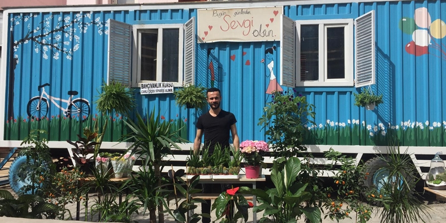 Bitki yetiştiriciliğinden, ekmek teknesi konteynere