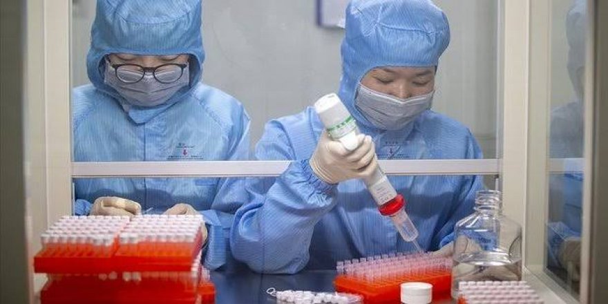 Çin’den itiraf: Virüsün bazı örneklerini imha ettik