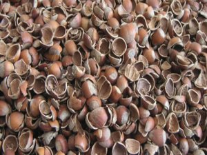 Plastiğini Pabucunu Dama Atacak Ürünün Formülü Bitti