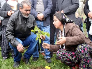 Berkin Elvan'ın anne ve babası, çocuklarının adına yapılan ormana ceviz fidanı dikti
