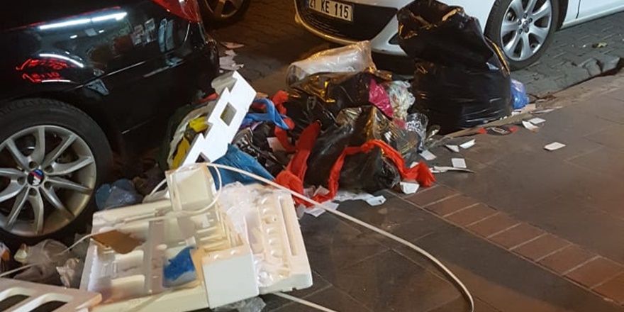 VİDEO - Yenişehir’deki çöpler toplanmayı bekliyor!