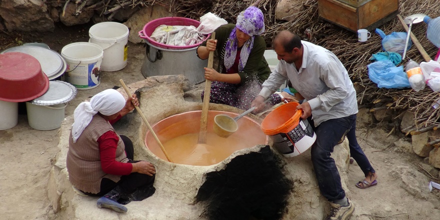 Diyarbakır’ın birçok ilçesinde bağ bozumu hareketliliği