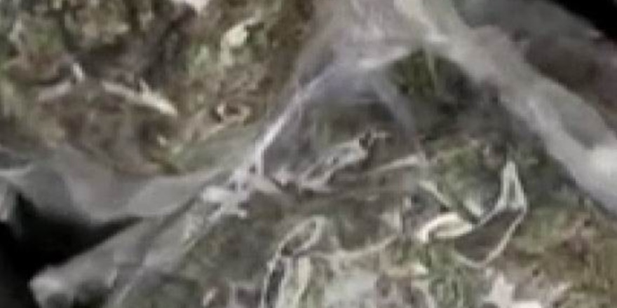 Diyarbakır'da bir ayda 641 kilogram esrar ele geçirildi, 87 tutuklama