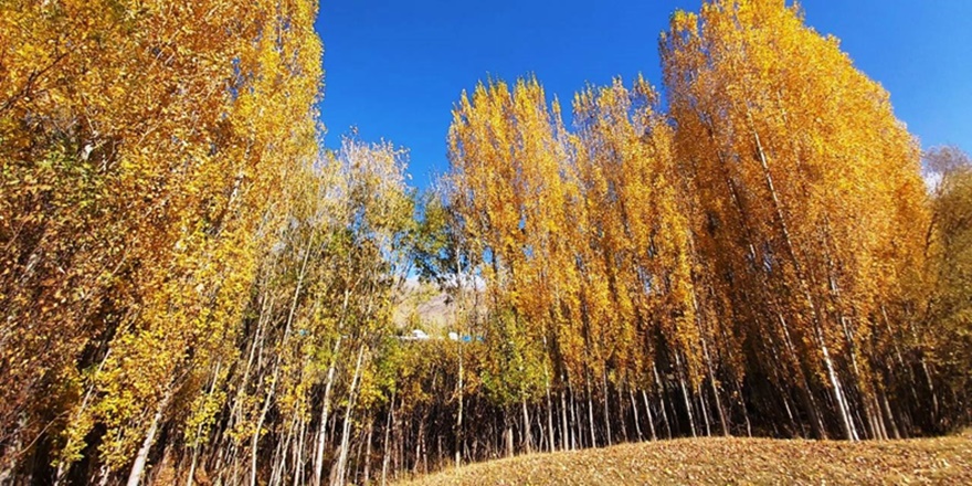 Bitlis’te sonbahar güzelliği