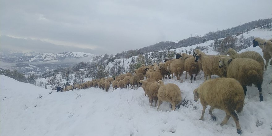 Dersim’de kar yağışı: 25 köy yolu kapandı