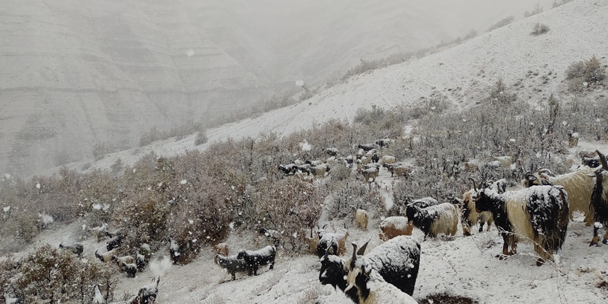 Kar yağdı dağda mahsur kaldılar
