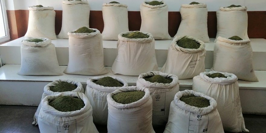 Diyarbakır'da 648 kilogram esrar ele geçirildi