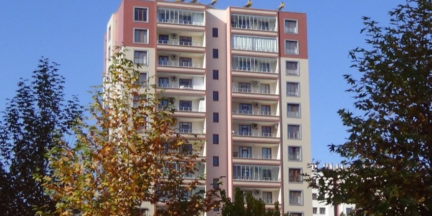 Diyarbakır’da koronayı yenen vatandaş intihar girişiminde bulundu