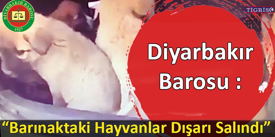 Diyarbakır Barosu: Barınaktaki hayvanlar dışarı salındı
