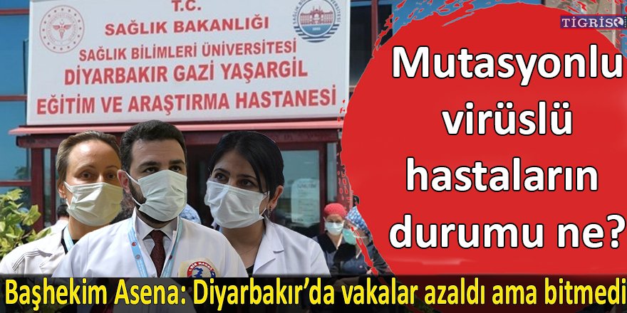 VİDEO - Başhekim Asena: Diyarbakır’da vakalar azaldı  ama bitmedi