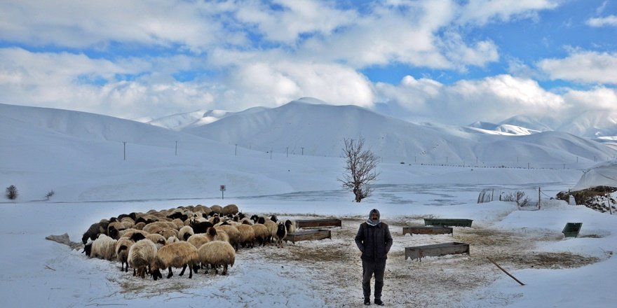 Dilimli Barajı dondu