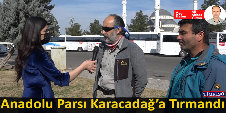 VİDEO - Anadolu Parsı Karacadağ’a tırmandı