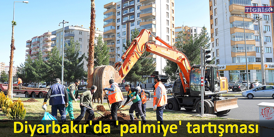 VİDEO - Diyarbakır'da 'palmiye' tartışması