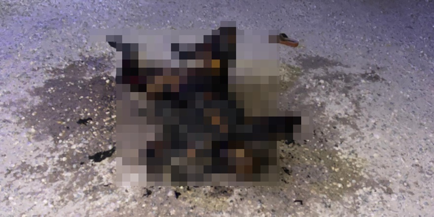 Şanlıurfa'da yanmış kadın cesedi bulundu