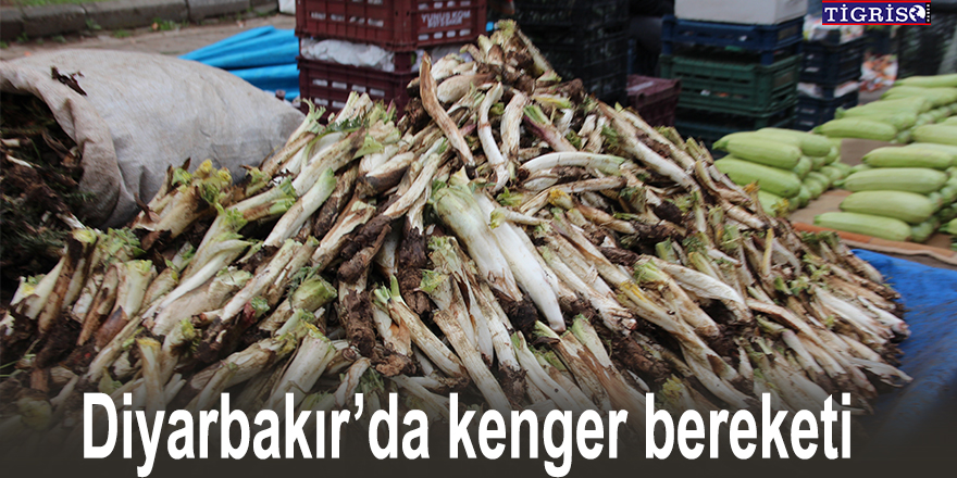 VİDEO - Diyarbakır’da kenger bereketi