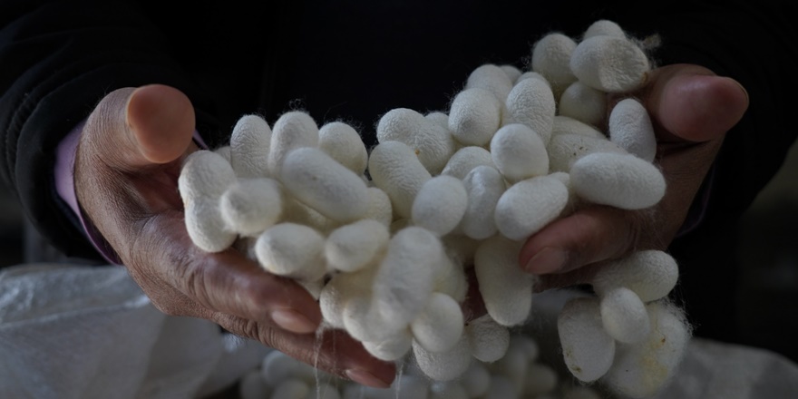 Diyarbakır’da ipeğinin dönüşümü sergilenecek