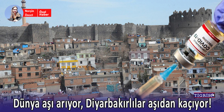 Dünya aşı arıyor, Diyarbakırlılar aşıdan kaçıyor!