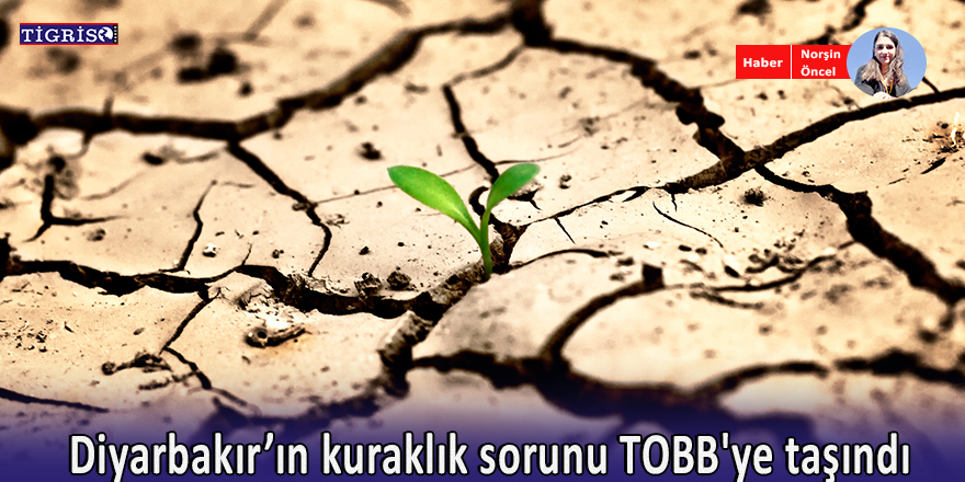 Diyarbakır’ın kuraklık sorunu TOBB'ye taşındı