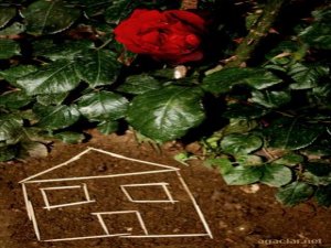 Bu akşam Hıdrellez