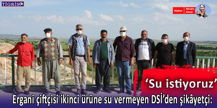 Ergani çiftçisi ikinci ürüne su vermeyen DSİ’den şikâyetçi