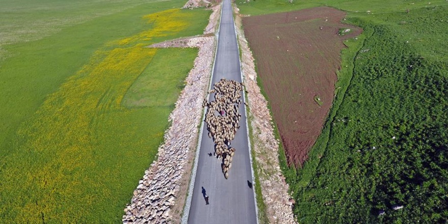 Göçerlerin yolculuğu havadan görüntülendi