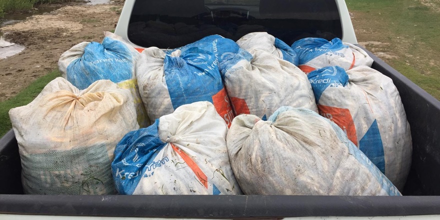 Av yasağına rağmen 1,5 ton inci kefali ele geçirildi