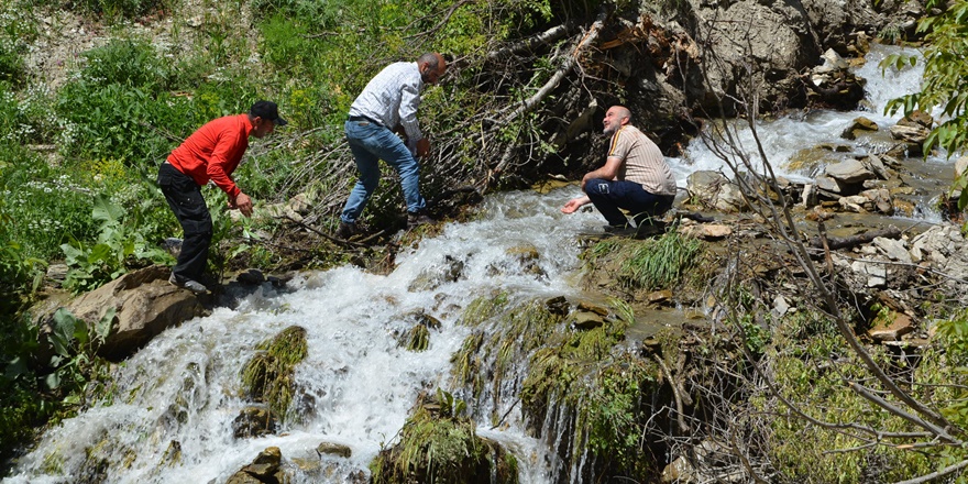 Hakkarili çiftçiler 40 yıl sonra suya kavuştu