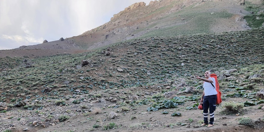 Van’da Uçkun toplarken yaralanan çocuğa helikopter yetişti