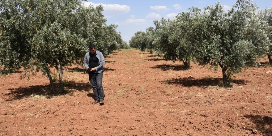 Şırnaklı çiftçiler sulama barajı istiyor
