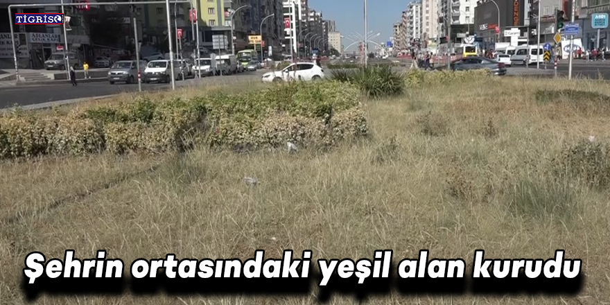 VİDEO - Şehrin ortasındaki yeşil alan kurudu