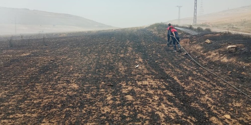 Mardin’de 20 dönüm buğday ekili arazi kül oldu