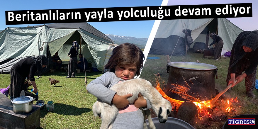 VİDEO - Beritanlıların yayla yolculuğu devam ediyor