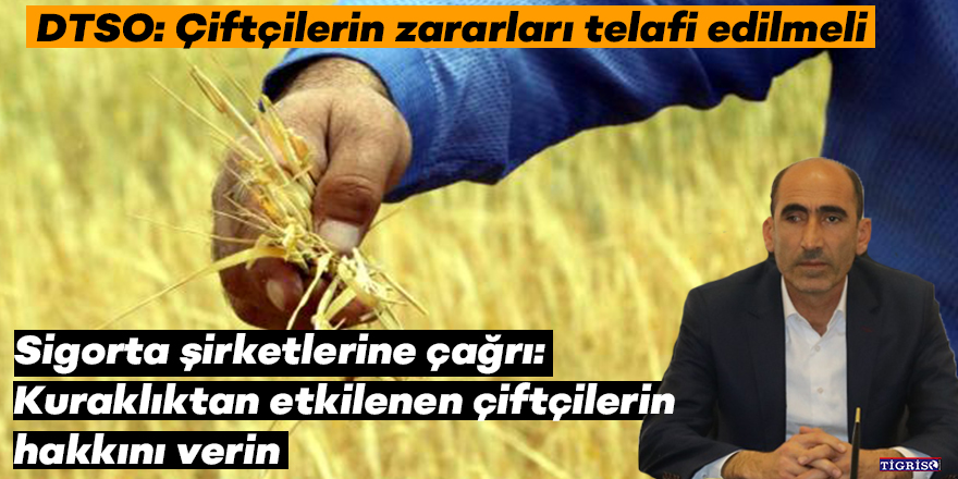 DTSO: Çiftçilerin zararları telafi edilmeli