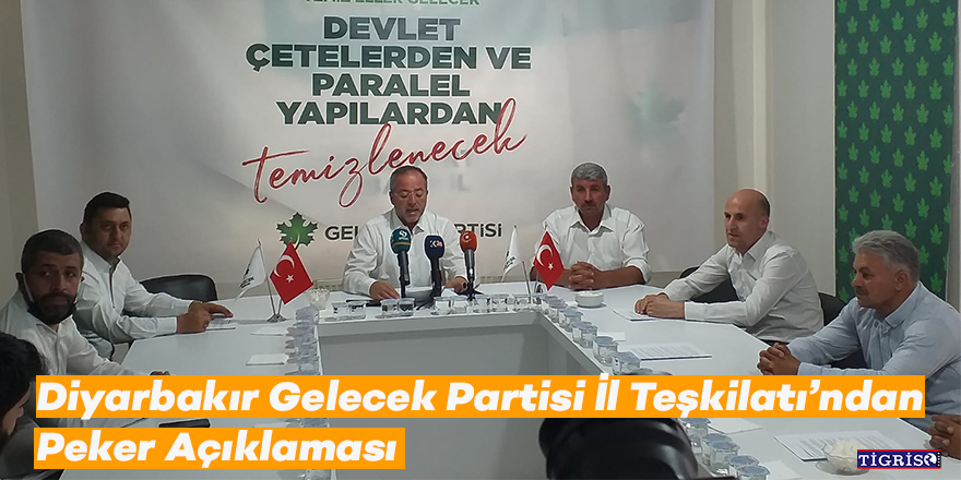 Gelecek Partisi Diyarbakır İl Teşkilatı'ndan Peker açıklaması