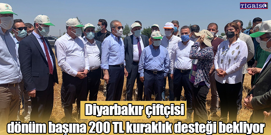 Diyarbakır çiftçisi dönüm başına 200 TL kuraklık desteği bekliyor